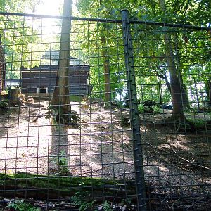 Urial Paddock at Liberec, 28/08/12