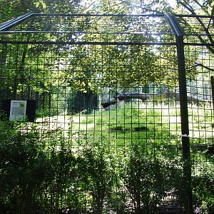 Deer Paddock at Liberec, 28/08/12