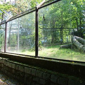 Empty Cheetah Exhibit at Liberec, 28/08/12
