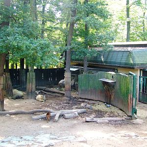 Takin and Muntjac Exhibit at Liberec, 28/08/12