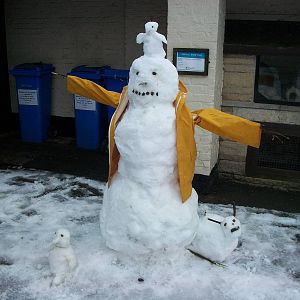 Sewerby Zoo becomes Snowerby Zoo, 26th January 2013