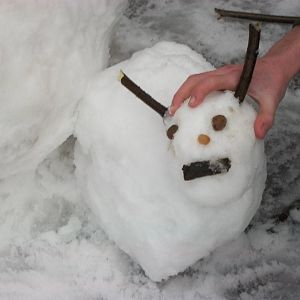 Snowerby Zoo, 26th January 2013