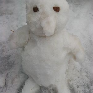 Snowerby Zoo, 26th January 2013