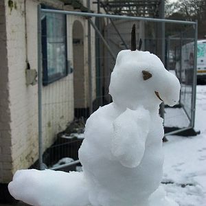 Snowerby Zoo, 26th January 2013