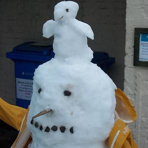 Snowerby Zoo, 26th January 2013