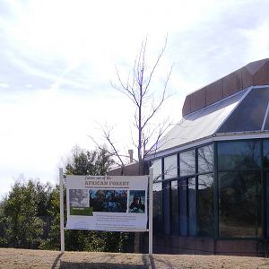 Sign for future African Forest section