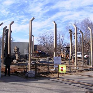 New Grizzly Bear Enclosure Construction