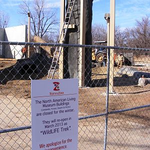 New Grizzly Bear Enclosure Construction