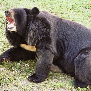 Scanned Miami Metro Zoo Photos 1990-2006