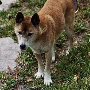 Scanned Miami Metro Zoo Photos 1990-2006