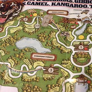 Scanned Miami Metro Zoo Photos 1990-2006