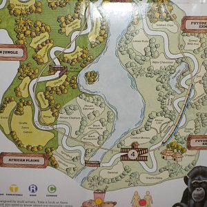 Scanned Miami Metro Zoo Photos 1990-2006