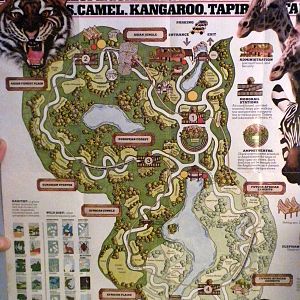 Scanned Miami Metro Zoo Photos 1990-2006