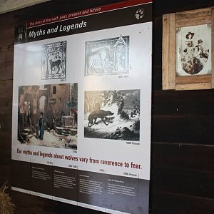 WOLF- Myths and Legends of the Wolf