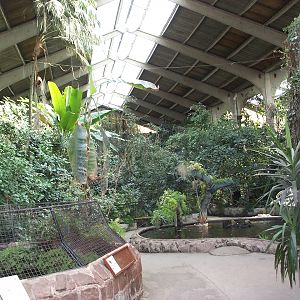 tropical house April 2000