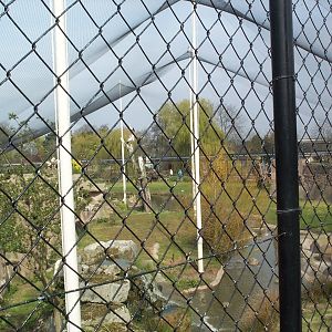 stork aviary April 2000