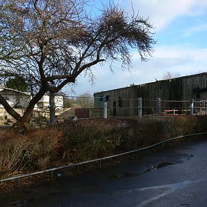 Elephant/Reptile House at Blackpool Zoo, 27/01/13