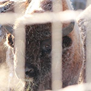 It´s cold in Avesta (photo Mikael Jansson)