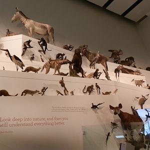Melbourne Museum