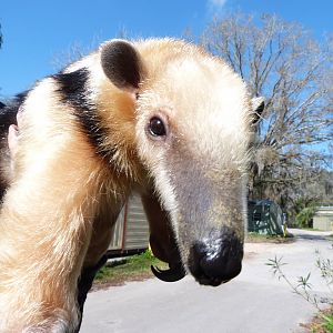 Greetings from Tampa