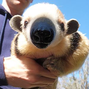 *Smooches* from Silvio