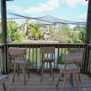 Ituri Forest - Aviary