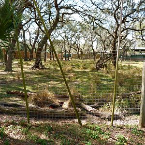 Interspecies Exhibit - Africa