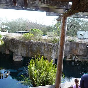 Manatee Exhibit
