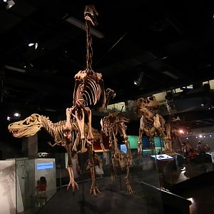 Melbourne Museum