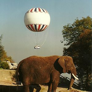 Flossie 31st October 1997