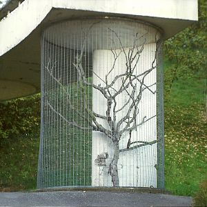 Cage on Lubetkin Terrace 31st October 1997