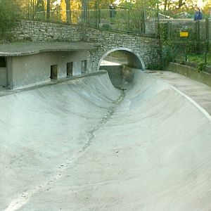 Site of where Cuddles cavorted in the Black Country 31st October 1997