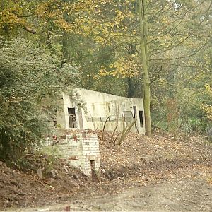 Early redevelopment of old Bear Pit 1st November 1997