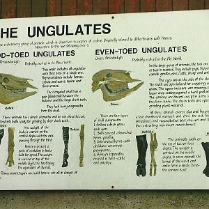 Signage 1st November 1997