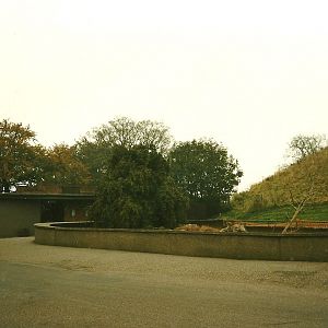 Former Reptiliary with Reptile House behind 1st November 1997