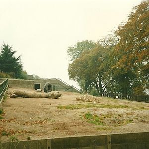 Elephant Paddock 1st November 1997