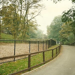 Along the ungulate paddocks 1st November 1997