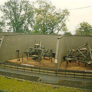 Ape House 1st November 1997