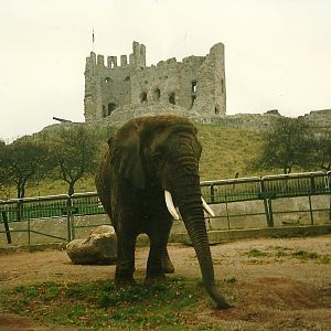 Elephant and Castle 1st November 1997