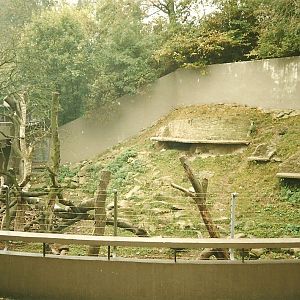 Part of Himalayan Black Bear exhibit 1st November 1997