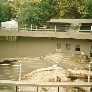 Part of Himalayan Black Bear exhibit 1st November 1997