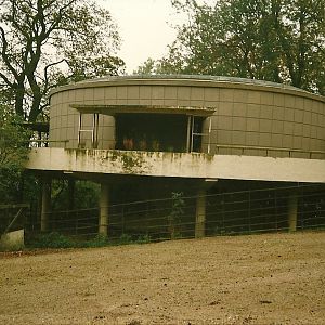 Wider view of former Bird House 1st November 1997