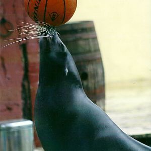 Marvin 27th December 2012