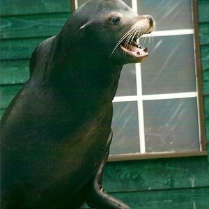 Clive 27th December 2012