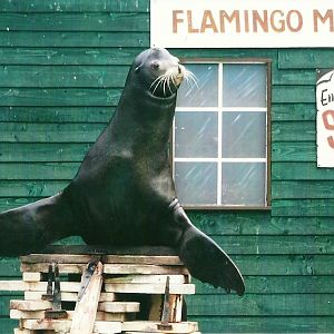 Clive 27th December 2012