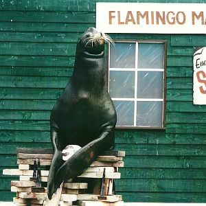 Clive 27th December 2012