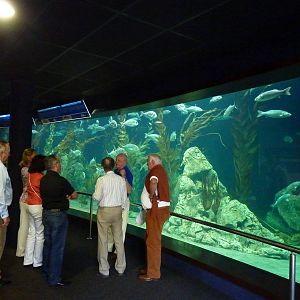 Penguin tank, December 2012