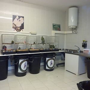 Nursery room, December 2012