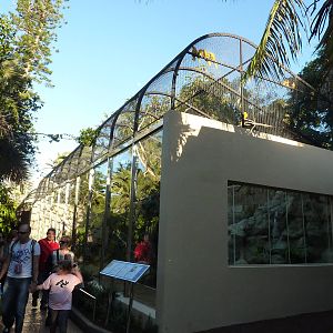 South American aviary, December 2012