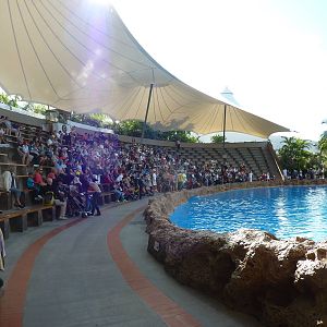 Dolphin stadium, December 2012